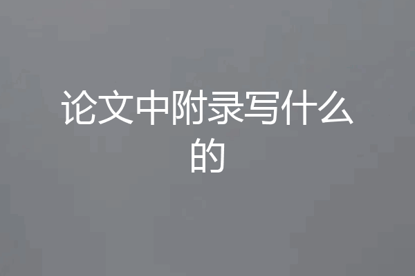 论文中附录写什么的