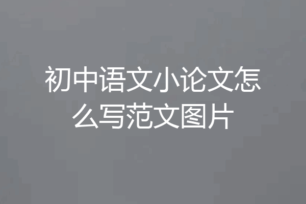 初中语文小论文怎么写范文图片