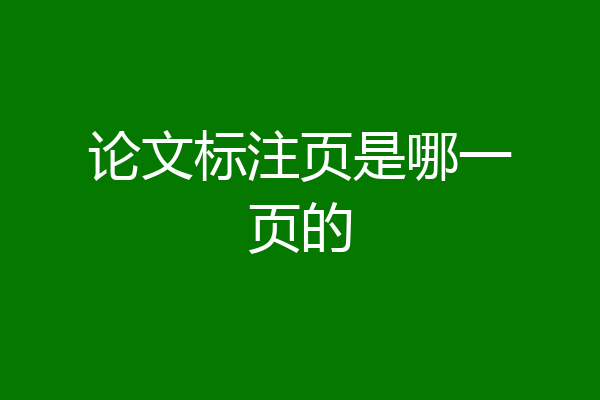 论文标注页是哪一页的
