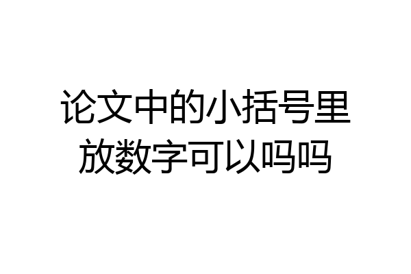 论文中的小括号里放数字可以吗吗