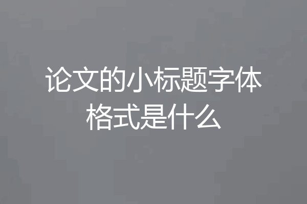 论文的小标题字体格式是什么