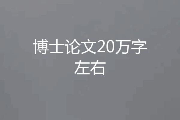 博士论文20万字左右