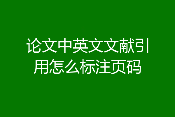 论文中英文文献引用怎么标注页码