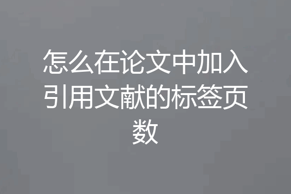怎么在论文中加入引用文献的标签页数