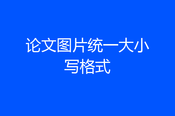 论文图片统一大小写格式