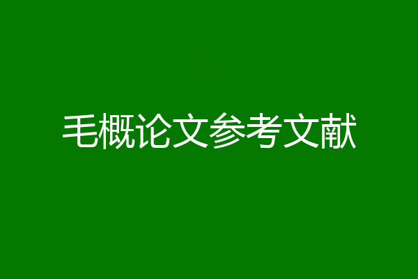 毛概论文参考文献