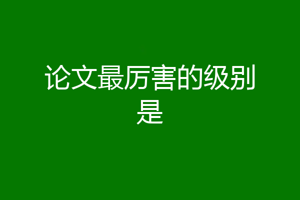 论文最厉害的级别是
