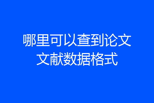 哪里可以查到论文文献数据格式