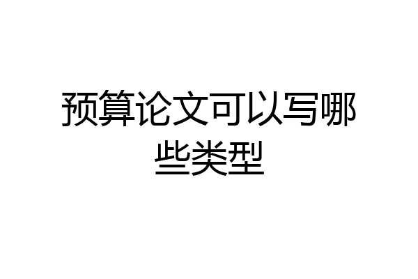 预算论文可以写哪些类型