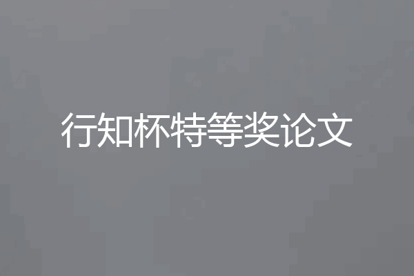 行知杯特等奖论文