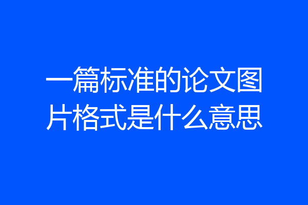 一篇标准的论文图片格式是什么意思