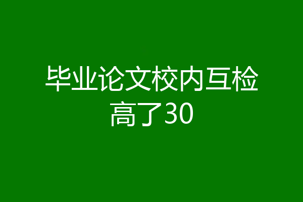 毕业论文校内互检高了30