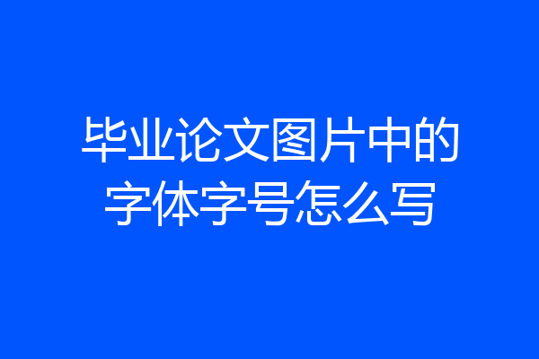 毕业论文图片中的字体字号怎么写
