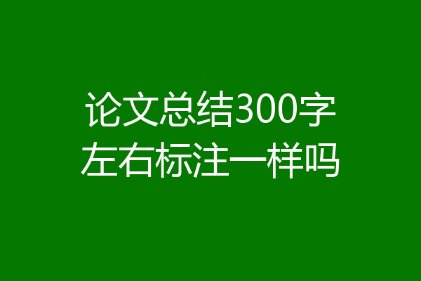 论文总结300字左右标注一样吗