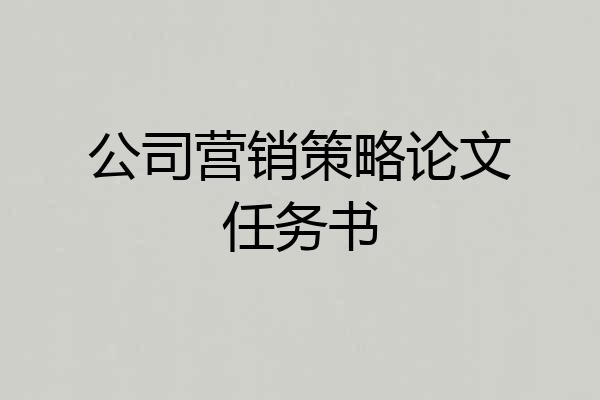 公司营销策略论文任务书