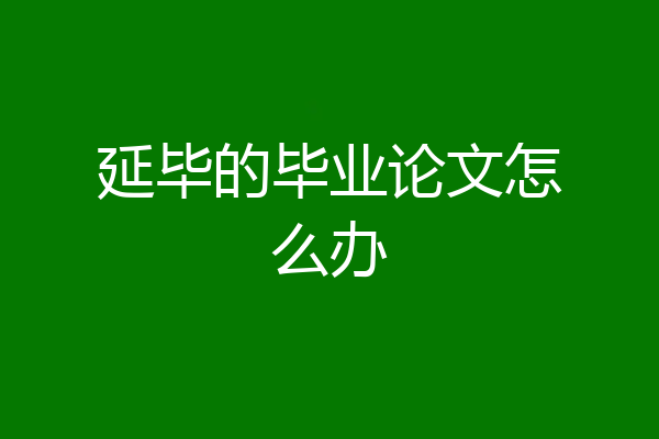 延毕的毕业论文怎么办