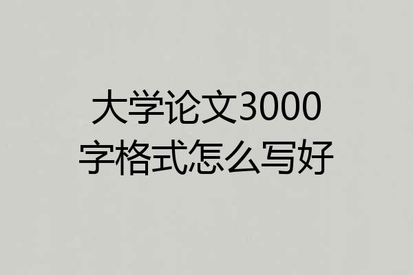 大学论文3000字格式怎么写好