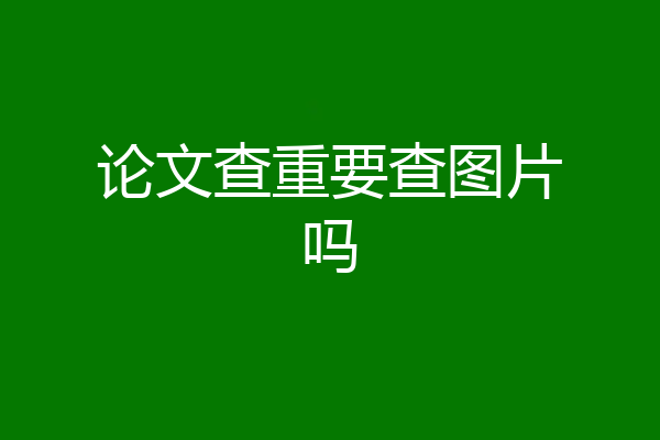 论文查重要查图片吗