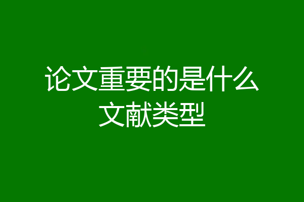 论文重要的是什么文献类型