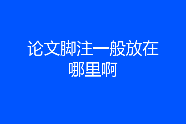 论文脚注一般放在哪里啊