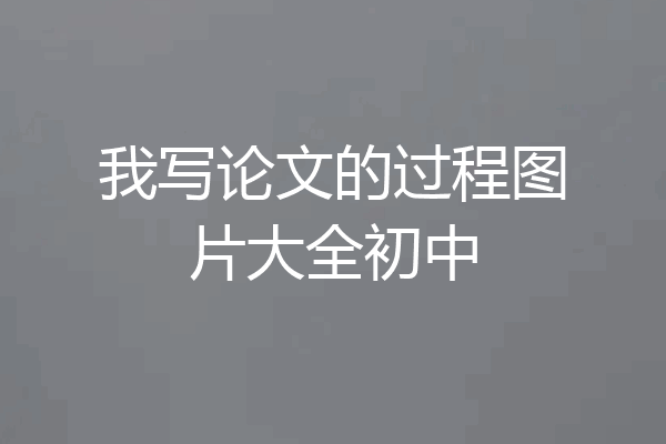 我写论文的过程图片大全初中