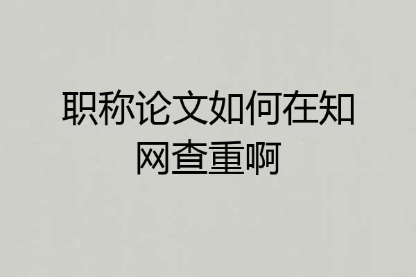 职称论文如何在知网查重啊