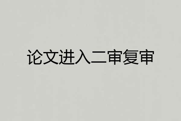 论文进入二审复审