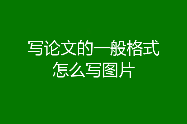 写论文的一般格式怎么写图片