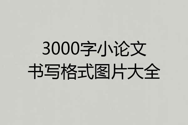 3000字小论文书写格式图片大全