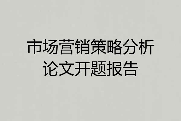 市场营销策略分析论文开题报告