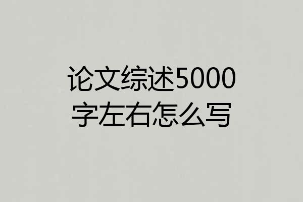 论文综述5000字左右怎么写