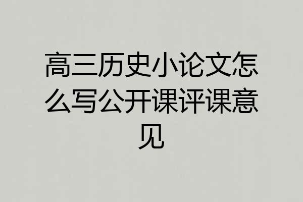 高三历史小论文怎么写公开课评课意见