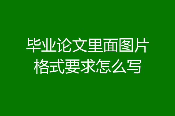 毕业论文里面图片格式要求怎么写