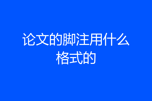 论文的脚注用什么格式的