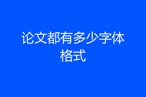 论文都有多少字体格式