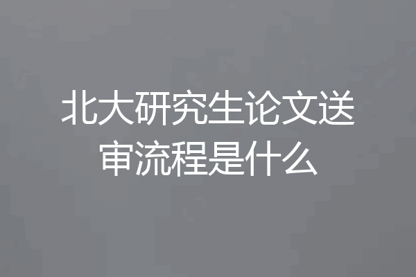 北大研究生论文送审流程是什么