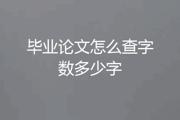 毕业论文怎么查字数多少字
