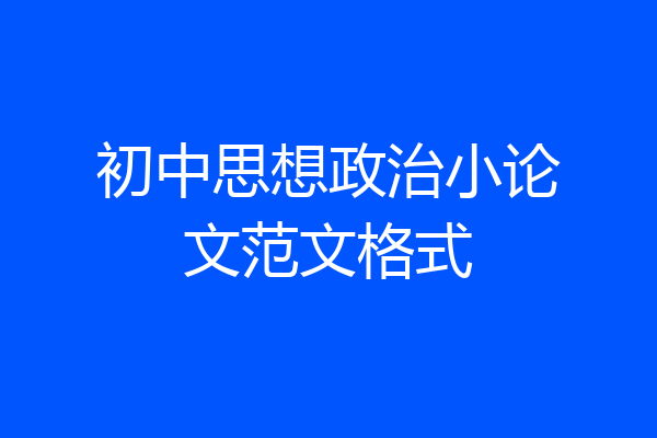 初中思想政治小论文范文格式