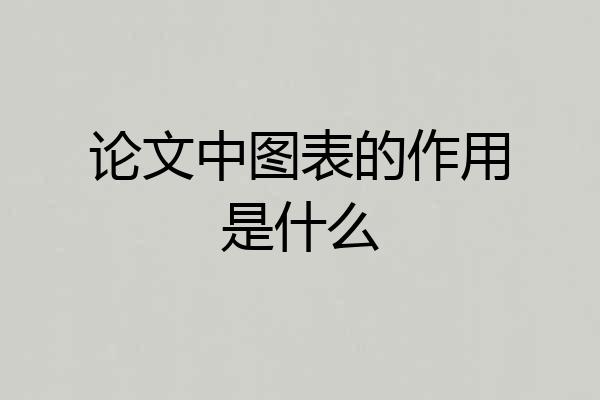 论文中图表的作用是什么