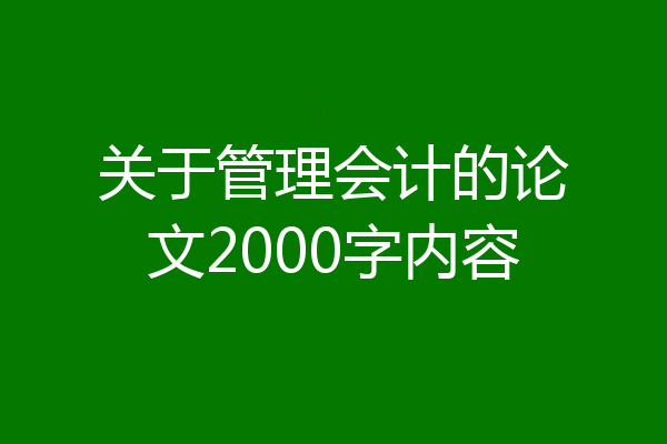 关于管理会计的论文2000字内容