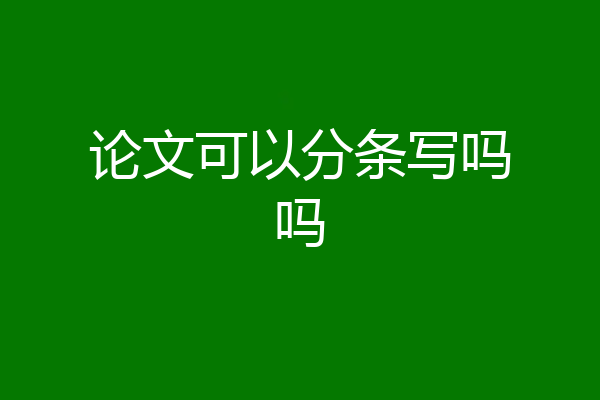 论文可以分条写吗吗