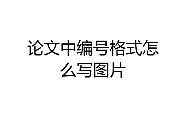论文中编号格式怎么写图片