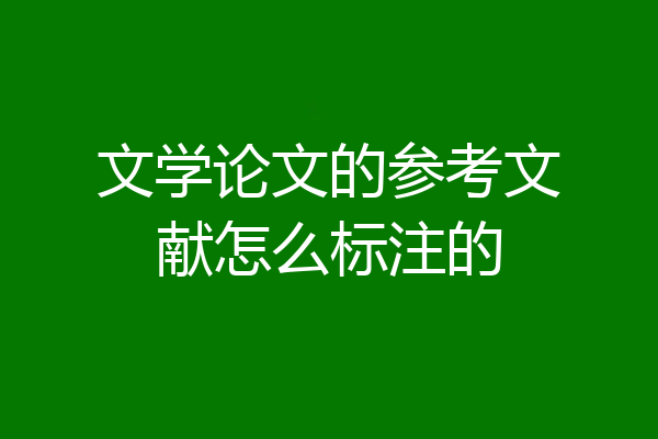 文学论文的参考文献怎么标注的