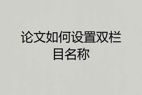 论文如何设置双栏目名称