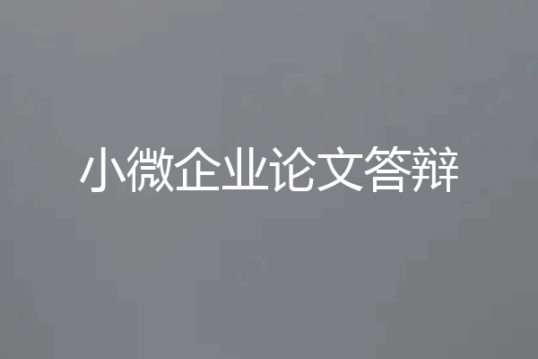 小微企业论文答辩