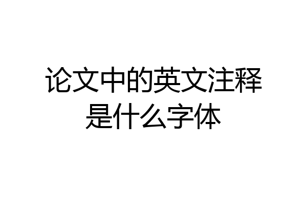 论文中的英文注释是什么字体
