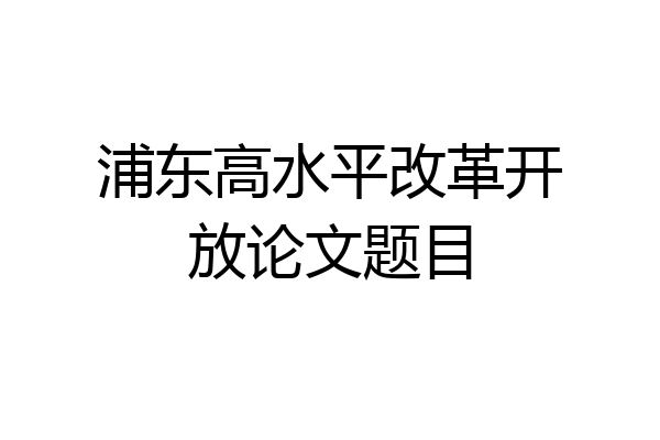 浦东高水平改革开放论文题目