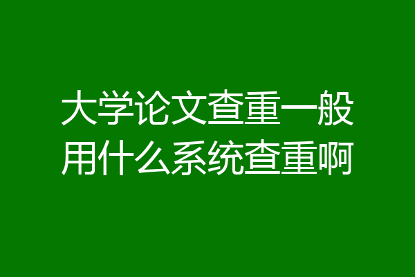 大学论文查重一般用什么系统查重啊