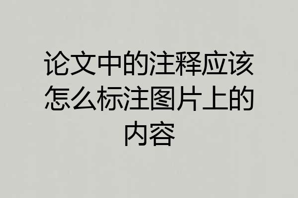 论文中的注释应该怎么标注图片上的内容