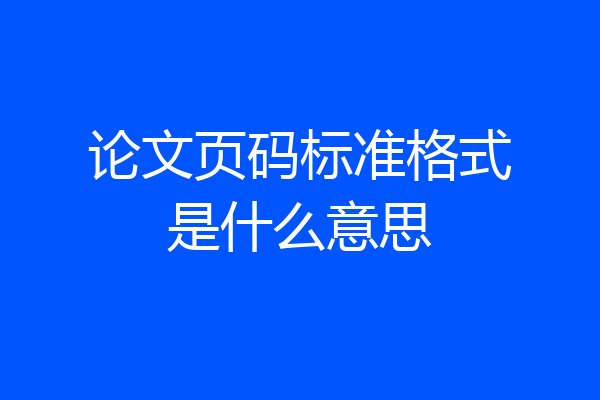论文页码标准格式是什么意思